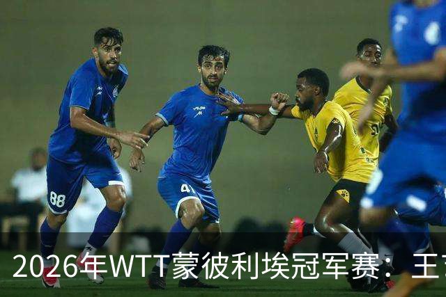 2026年WTT蒙彼利埃冠军赛:王艺迪稳健表现晋级女单八强